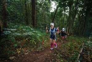 BIB: 
                            <button type="button" onclick="openModal(22451490)" class="btn btn-primary btn-sm float-right btn-popup" data-toggle="modal" data-target=".modal-high-quality">
                        <i class="fas fa-shopping-cart"></i> Add to Cart
                    </button>
                                            <button type="button" onclick="isThisMe(22451490, true)" class="btn btn-success btn-sm float-right btn-popup btn-isme hidden" data-toggle="tooltip" data-placement="bottom" title="นี่คือรูปของคุณใช่ไหม คลิกที่นี่เพื่อเอาเข้าอัลบั้ม">
                        <i class="fas fa-plus"></i> Add to album
                    </button>
                    <button type="button" onclick="isThisMe(22451490, false)" class="btn btn-warning btn-sm float-right btn-popup btn-isnotme hidden">
                        <i class="fas fa-ban"></i> Remove from album
                    </button>